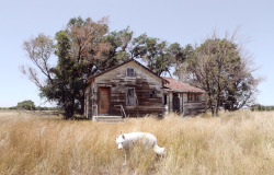 johnandwolf: Abandoned homestead east of