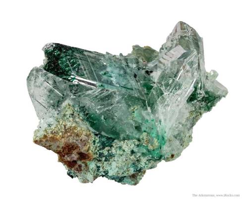 Atacamite in Gypsum from Peru by The Arkenstone