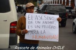 conciencia-animal:  Recordemos esto: http://bit.ly/1jBVwJl 