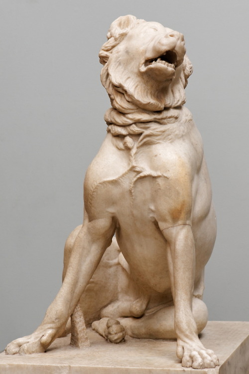 historyarchaeologyartefacts:So-called ‘Jennings Dog’, ‘Duncombe Dog’ or ‘the Dog of Alcibiades’. 2nd