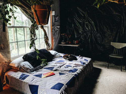 lukesky-walking-on-these-haters: Basement bedroom vibes