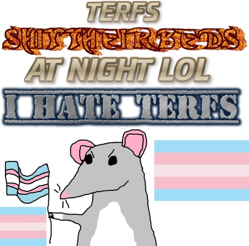 poorlydrawnrats:hey! TRANS RIGHTS!!! [ cc. Terfs shit their beds at night LOL. I hate terfs. ]
