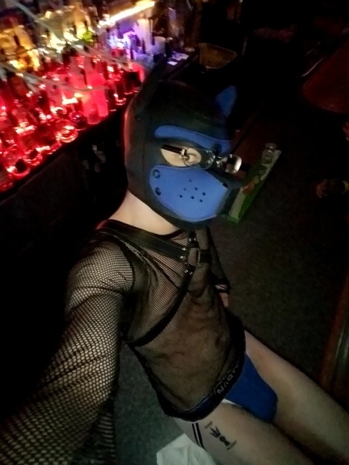 otter-pup-the-pup:  Last night for the bar. adult photos