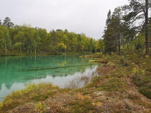 The beautiful Blanktjärnarna. Jämtland, Sweden. The water is extremely clear but coloured green by l