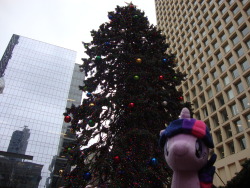 slice-of-life-twilight:  Dear Readers, I wanted to research how Christmas is celebrated beyond the walls of one family’s home, so Dee and I ventured into a city known as “Chicago.” It seemed like the entire place had been bedecked with trees,