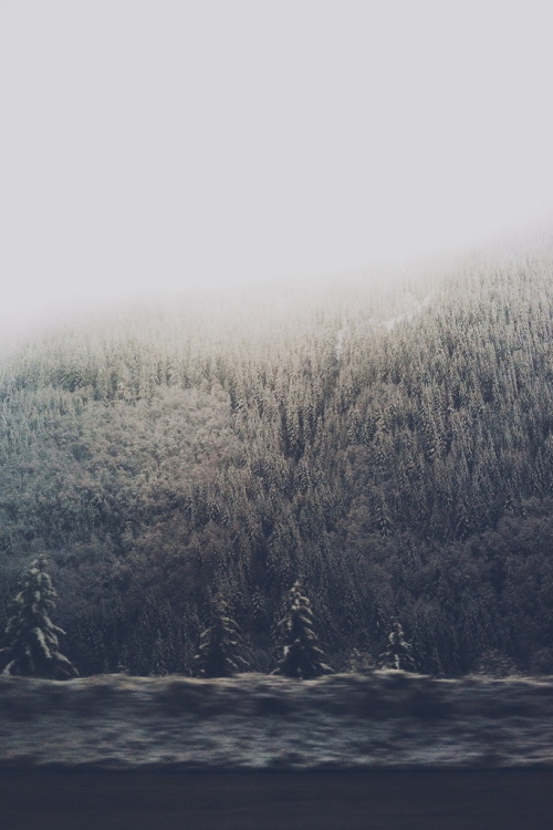 cre8ti0n:  Untitled by (s p r o t t)