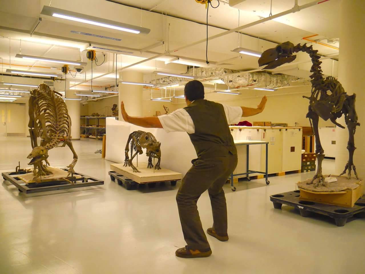 vayadesastre:  The Smithsonian uploaded this today 