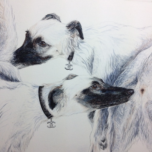 N°5 (detail) Watercolour and gauche on watercolour paper by Celene Bridge