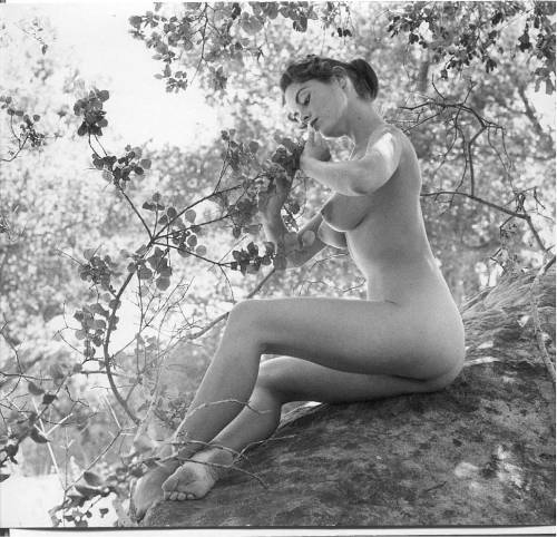 beforethecolon:  From alt.binaries.pictures.erotica.vintageDiane Webber