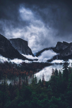 banshy:  Yosemite National Park by: Camaran Khiev