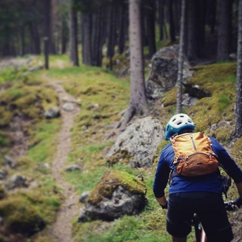 estrangedadventurer: Beautiful #singletrack #vestlandet #lærdal #borlaug #kongevegenoverfilefjell #