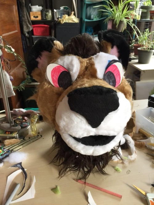 some of the last progress pics on Almond! I’ll put his finished pics in another post!