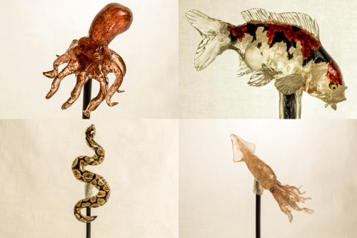 itscolossal:  Realistic Animal Lollipops and Sugar Sculptures by ‘Amezaiku’ Artisan Shinri Tezuka