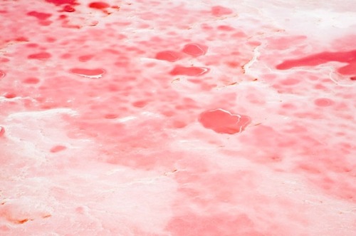 pleoros:Steve Back - Pink Lakes