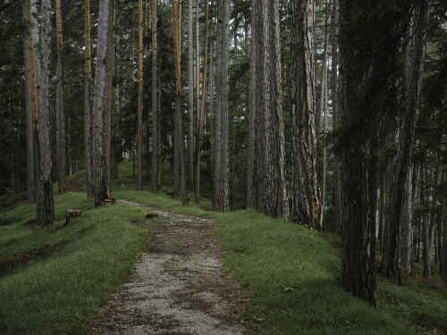 enjoy the silence mariahilfberg near gutenstein, lower austria // 08-2018