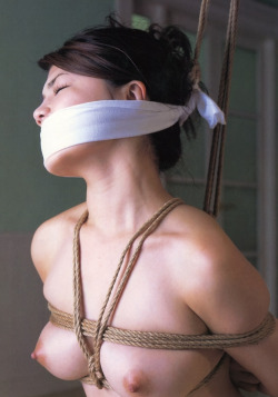 silken-silence-uk:  I think she’s just come again. Has to be the fourth time, but then she does love being gagged…