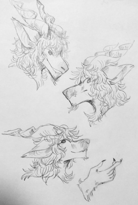fishsticxz-art:made a new dnd character! his name is raku and hes a half-dragon paladin