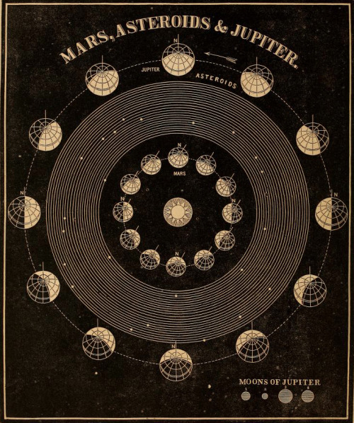 nevver: Circling the Sun From the archives of the Vampyre Librarium, where the oldest papers on vamp