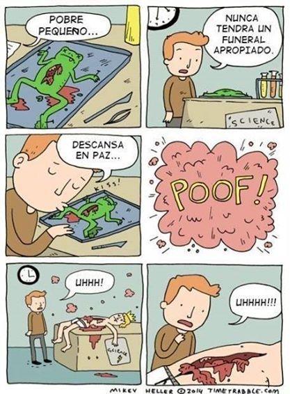 conchesumadres:   upp xd 