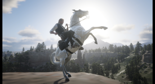 Arthur Morgan *w*