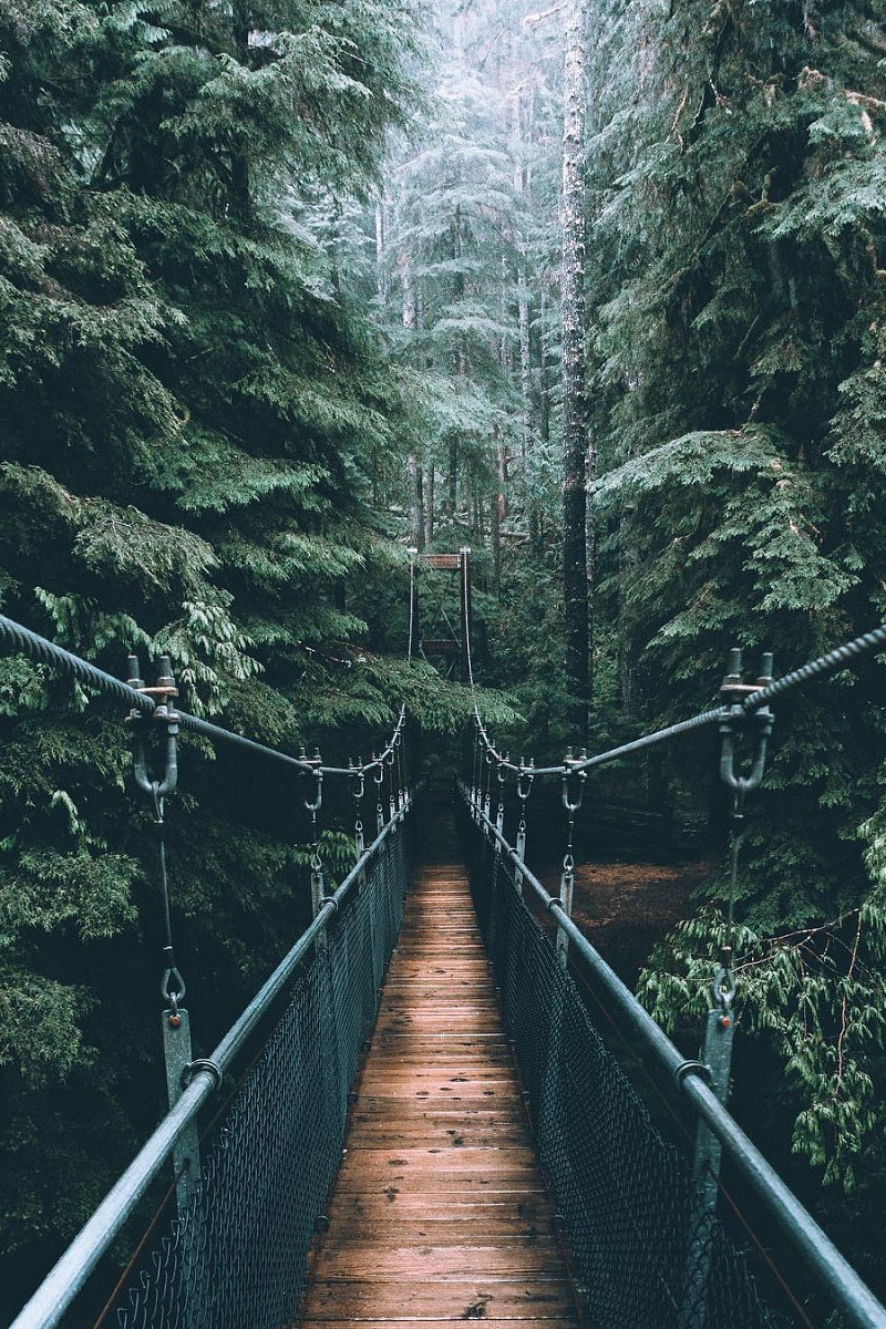 alecsgrg: By: Elliot Hawkey