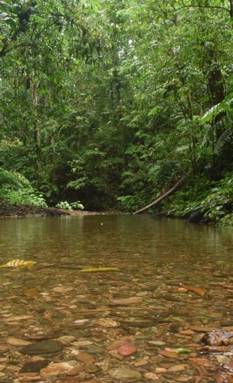 trailpace:Madamas River