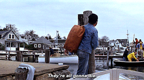 dafoes:JAWS (1975) dir. Steven Spielberg