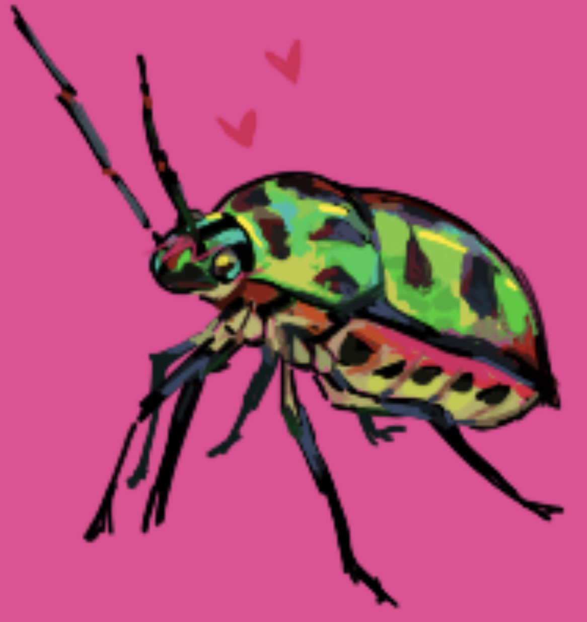 Porn photo lichbeetle:Lychee Shield Bug! Scutelleridae