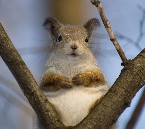 Sooo many squizles!!!!