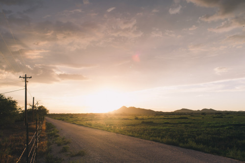 gabrielrobertflores:  warm evening in Arizona