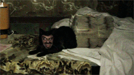 countfagulaz:I go for a look which I call dead but delicious.What We Do In The Shadows (2014) dir. J