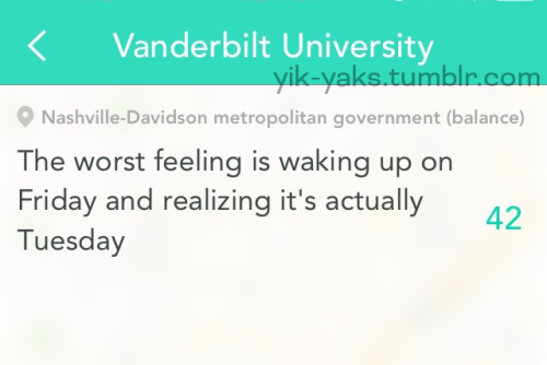 yik-yaks:Follow Yik-Yaks for more.