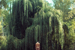 queerbodhi:  Raoni, 22.Sep.2014 by Manuel Moncayo A tenderness that could only be achieved with a none earthly touch.   I planted a weeping willow in my yard this summer