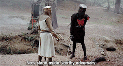 babeimgonnaleaveu:  Monty Python and the Holy Grail (1975)  