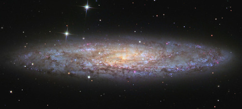 NGC 253: Dusty Island Universe : Shiny NGC 253 is one of the brightest spiral galaxies visible, and 