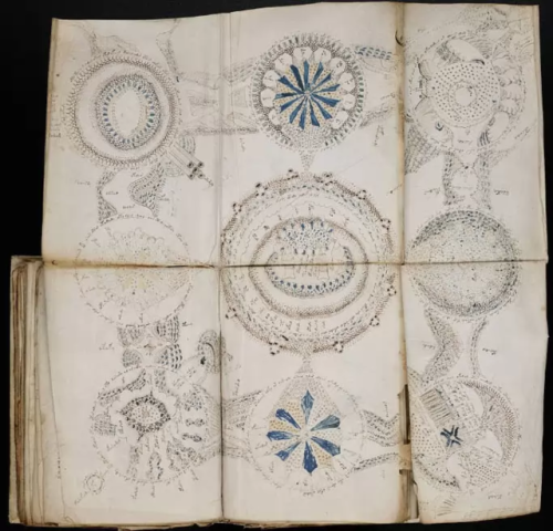 historyarchaeologyartefacts:The book nobody can read :The Voynich Manuscript, 15th century, Italy [9