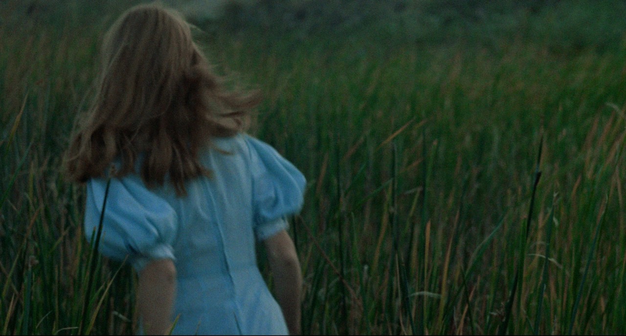 izvletchenie:Terrence Malick, Badlands (1973)