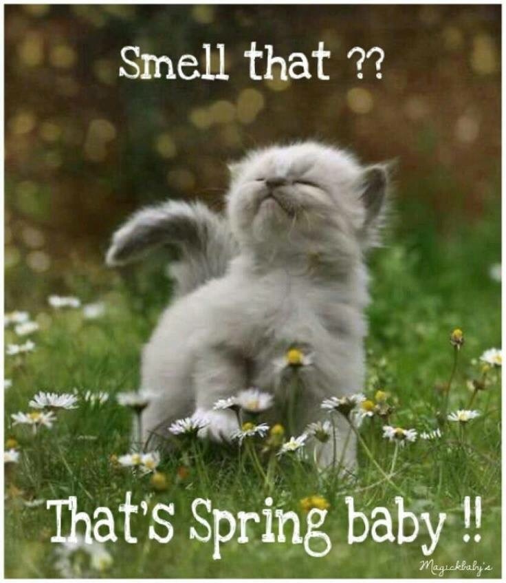 sandmn1961:  As soon as the snow melts Today 