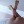 devil-in-lingerie:Follow my OnlyF4ns account, link in chat