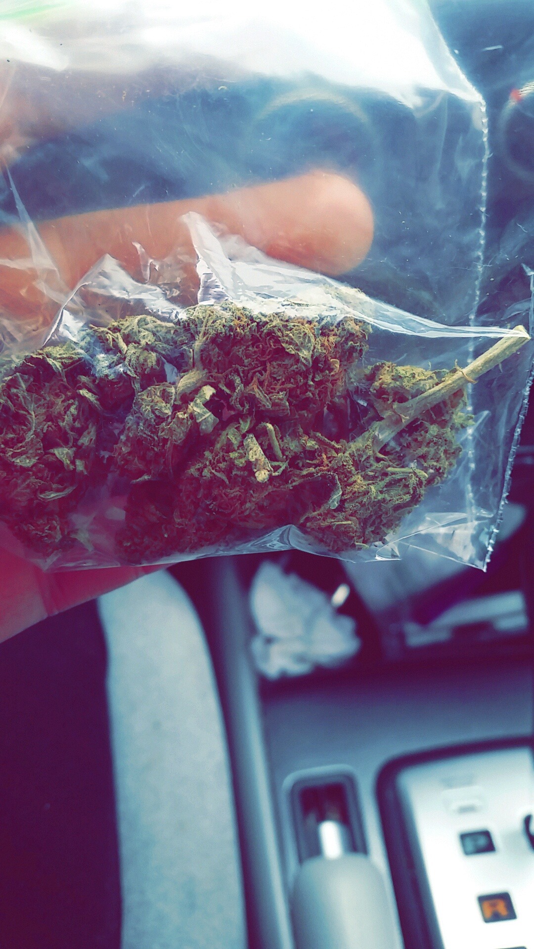 weedporndaily:  Shaylin M:Treat yo self 