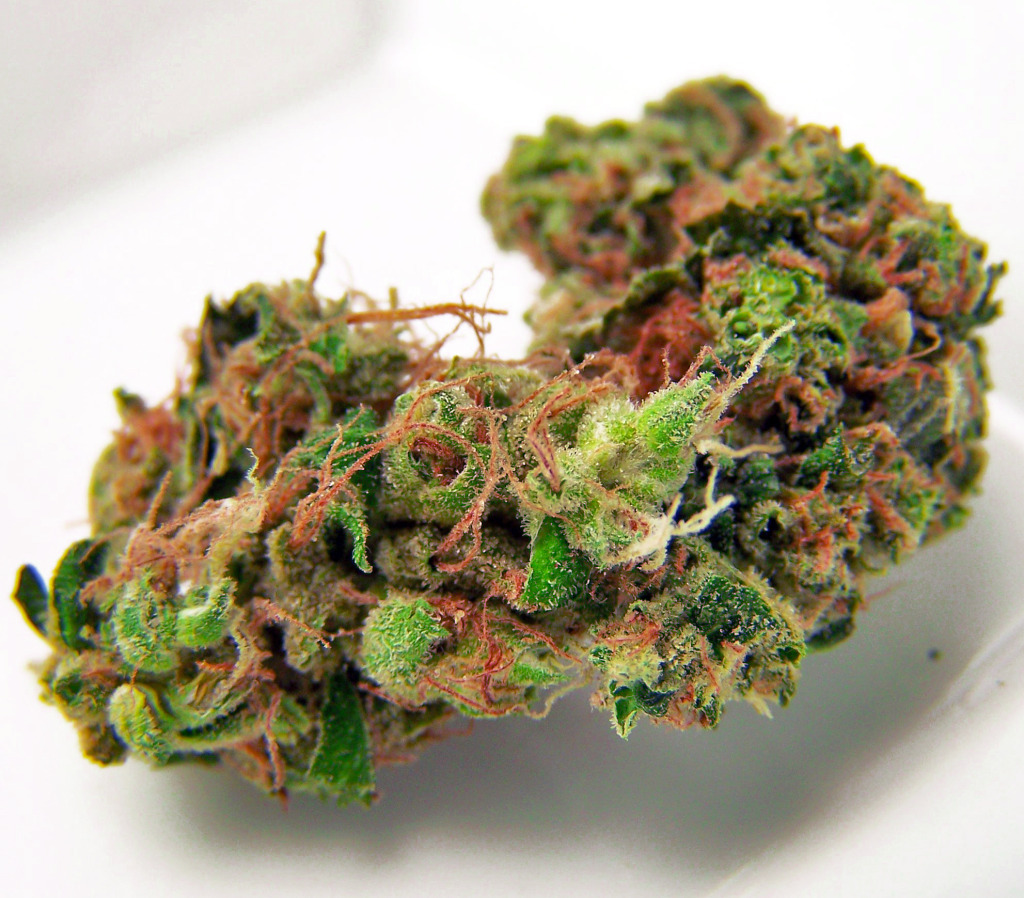 The Cannabis Queen