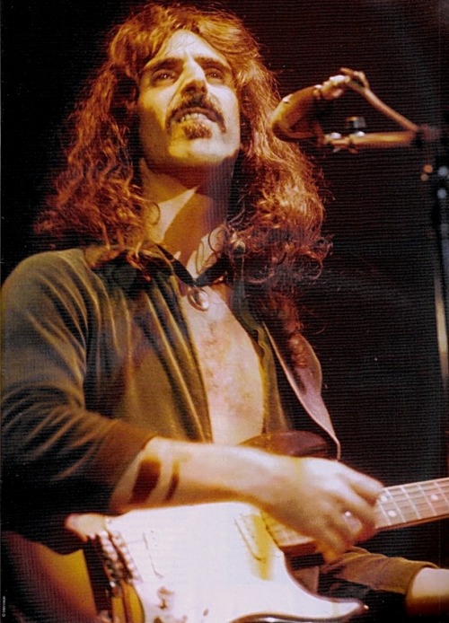 zimtrim: Frank Zappa