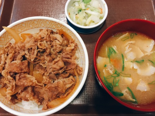 shokublr:  店名　すき家 メニュー　牛丼豚汁セット 備考　期間限定でワンコインに！