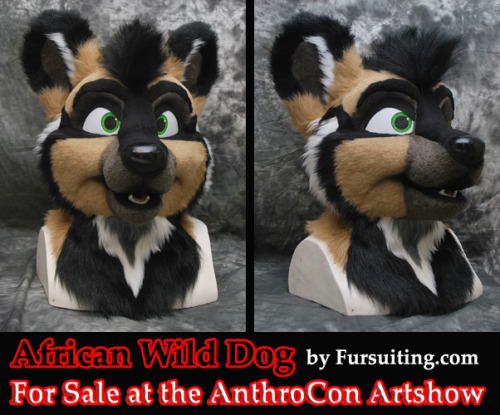African Wild Dog head that will be up for sale at the AnthroCon 2013 Artshow next weekend! This is a