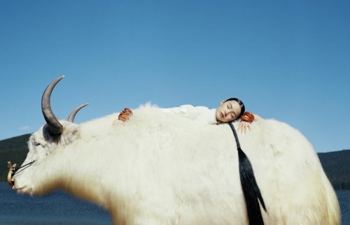 leah-cultice:Xiao Wen Ju by Leslie Zhang