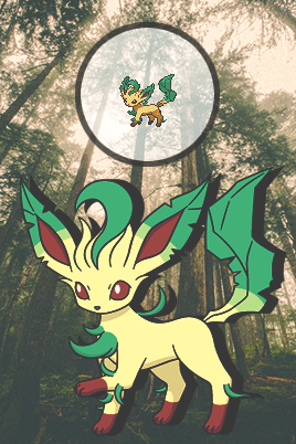 pkmnrangerunion:The best eeveelutions <3