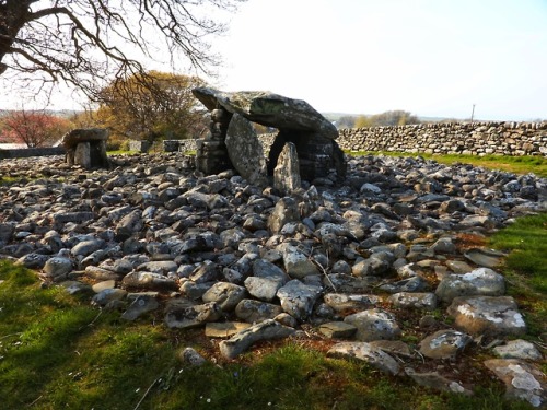 Dyffryn Ardudwy Neolithic Burial Chambers, Dyffryn Ardudwy, North Wales, 21.4.18. No matter how many