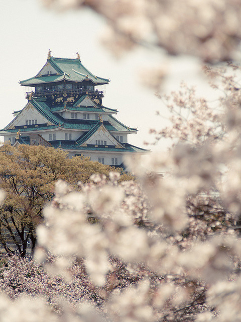 japan-overload: 大阪城 by igu3 on Flickr.