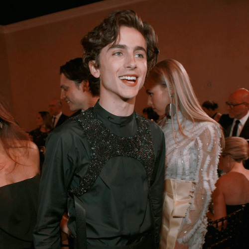 timothée chalamet at the golden globes 2019 icons if it wasn’t it obvious, he dese