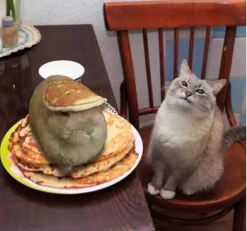 viejospellejos:  Me estoy preparando un sandwich 